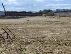 Área para Venda em Belo Horizonte - 5