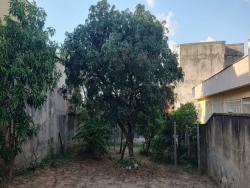 #2119 - Terreno para Venda em Belo Horizonte - MG - 1