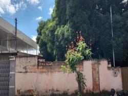 #2183 - Terreno para Venda em Belo Horizonte - MG - 1