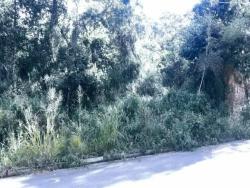 #0085 - Terreno para Venda em Nova Lima - MG - 3