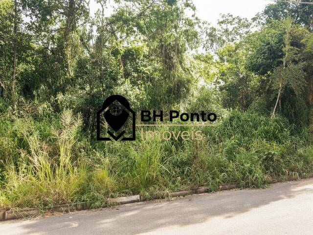 #0091 - Terreno para Venda em Nova Lima - MG - 2