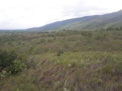 Fazenda para Venda em Augusto de Lima - 2