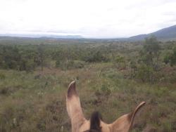 Fazenda para Venda em Augusto de Lima - 3